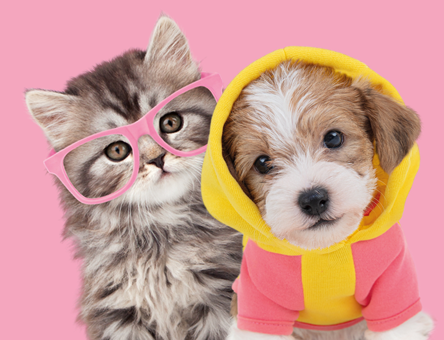 Homepage-banner-Studio-Pets